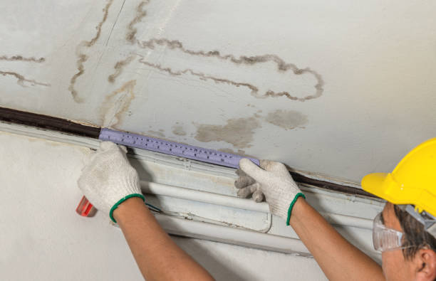 Reliable Burst Pipe Cleanup contractor in Moro, IL by Water Damage Irwin